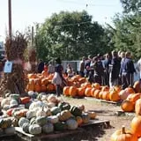 The Cooper Trooper Foundation Pumpkin Patch photo