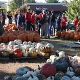 The Cooper Trooper Foundation Pumpkin Patch photo