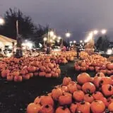 The Cooper Trooper Foundation Pumpkin Patch photo