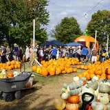 The Cooper Trooper Foundation Pumpkin Patch photo