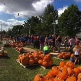 The Cooper Trooper Foundation Pumpkin Patch photo
