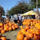 The Cooper Trooper Foundation Pumpkin Patch photo