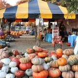 The Cooper Trooper Foundation Pumpkin Patch photo