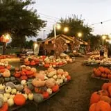The Cooper Trooper Foundation Pumpkin Patch photo