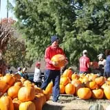 The Cooper Trooper Foundation Pumpkin Patch photo