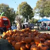 The Cooper Trooper Foundation Pumpkin Patch photo