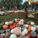 The Cooper Trooper Foundation Pumpkin Patch photo