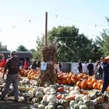 The Cooper Trooper Foundation Pumpkin Patch photo