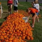 The Cooper Trooper Foundation Pumpkin Patch photo