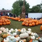 The Cooper Trooper Foundation Pumpkin Patch photo