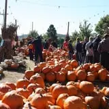 The Cooper Trooper Foundation Pumpkin Patch photo