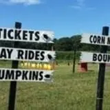 Wemrock Orchards Pumpkin Patch & Corn Maze photo