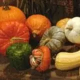 Wemrock Orchards Pumpkin Patch & Corn Maze photo