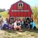 Wemrock Orchards Pumpkin Patch & Corn Maze photo