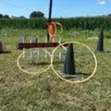 Wemrock Orchards Pumpkin Patch & Corn Maze photo
