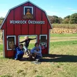 Wemrock Orchards Pumpkin Patch & Corn Maze photo