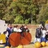 Wemrock Orchards Pumpkin Patch & Corn Maze photo
