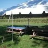 Wemrock Orchards Pumpkin Patch & Corn Maze photo