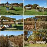 Wemrock Orchards Pumpkin Patch & Corn Maze photo