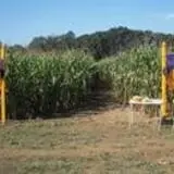 Wemrock Orchards Pumpkin Patch & Corn Maze photo