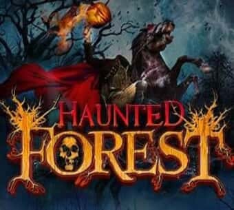 Haunted Forest 