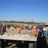 Schuster's Pumpkin Patch & Corn Maze photo