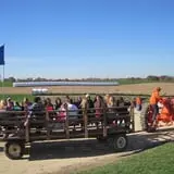 Schuster's Pumpkin Patch & Corn Maze photo