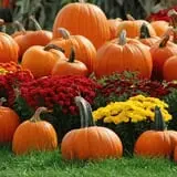 West Virginia Pumpkin Festival photo