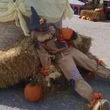 West Virginia Pumpkin Festival photo