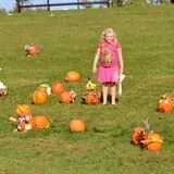 West Virginia Pumpkin Festival photo