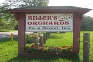 Miller's Orchards Farm Market Logo