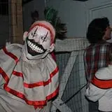 The Haunted Chicken House  photo