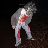 The Haunted Chicken House  photo