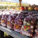 Alyson's Orchard Pumpkin Patch & Wagon Rides photo