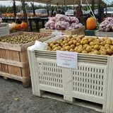 Alyson's Orchard Pumpkin Patch & Wagon Rides photo