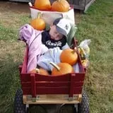 Alyson's Orchard Pumpkin Patch & Wagon Rides photo