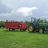 Alyson's Orchard Pumpkin Patch & Wagon Rides photo