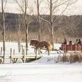 Alyson's Orchard Pumpkin Patch & Wagon Rides photo