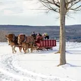 Alyson's Orchard Pumpkin Patch & Wagon Rides photo