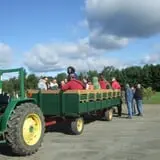 Alyson's Orchard Pumpkin Patch & Wagon Rides photo
