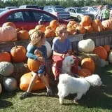 Alyson's Orchard Pumpkin Patch & Wagon Rides photo