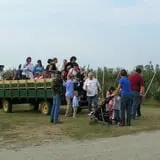 Alyson's Orchard Pumpkin Patch & Wagon Rides photo
