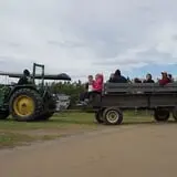 Alyson's Orchard Pumpkin Patch & Wagon Rides photo