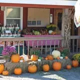 Alyson's Orchard Pumpkin Patch & Wagon Rides photo