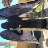 Haunted House  photo