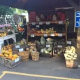 Karabin Farms PYO Pumpkin Patch photo