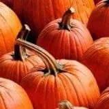 Bart's Farm and Pumpkin Patch photo