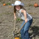 Bart's Farm and Pumpkin Patch photo