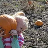 Bart's Farm and Pumpkin Patch photo