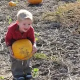 Bart's Farm and Pumpkin Patch photo
